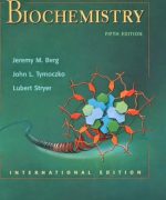 Biochemistry J. Berg J. Tymoczko L. Stryer 5th Edition