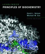 Lehninger Principles of Biochemistry David L. Nelson Michael M. Cox 5th Edition