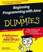 beginning programming with java for dummies