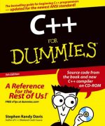 c for dummies stephen randy davis 5th edition