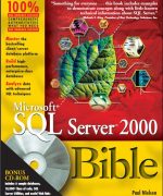 microsoft sql server 2000 bible paul nielsen 1st edition 1