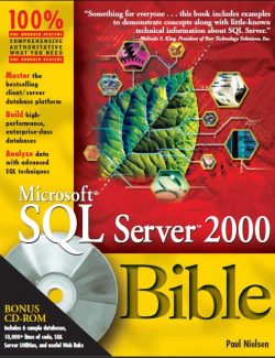 microsoft sql server 2000 bible paul nielsen 1st edition 1